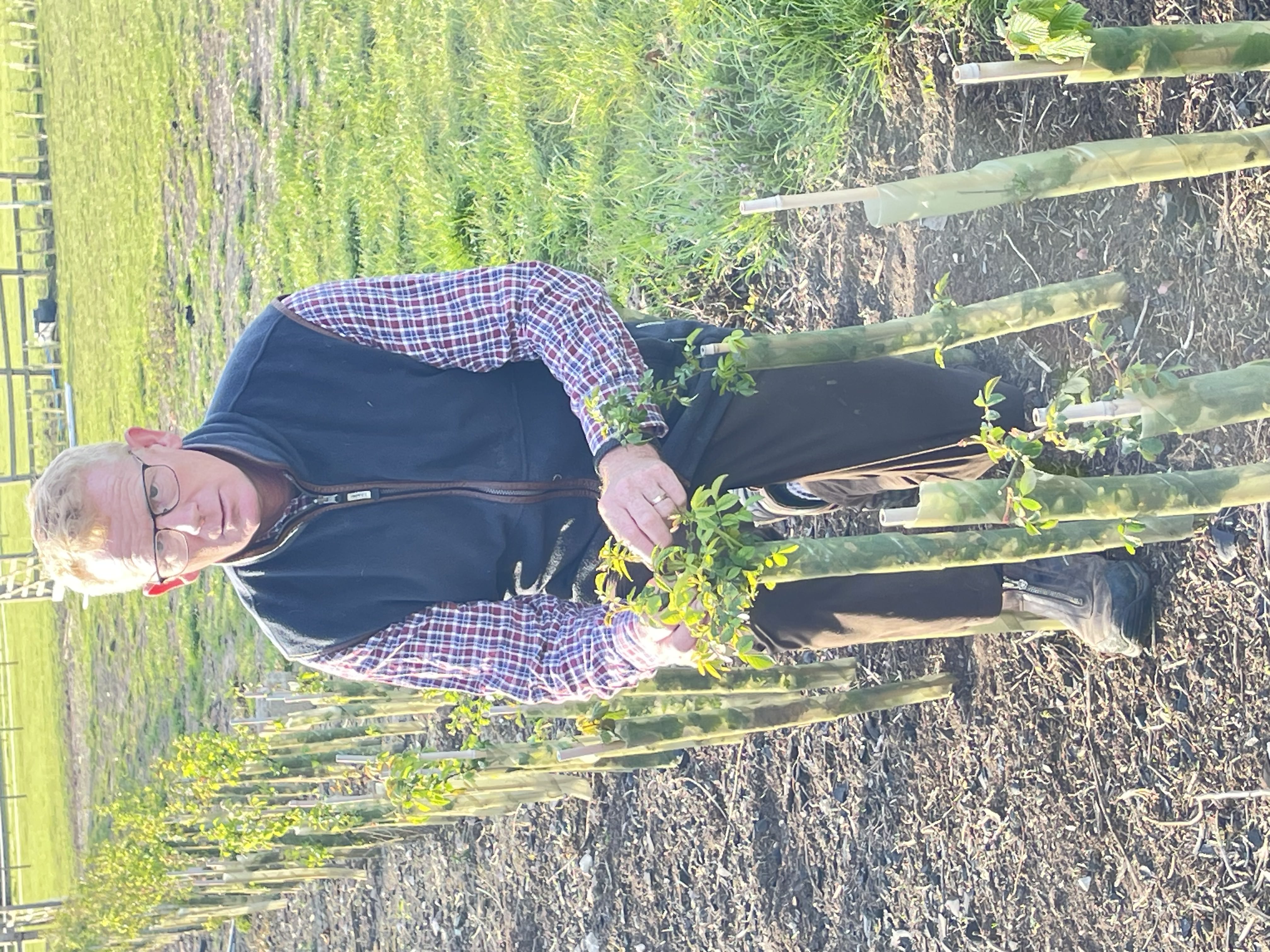 Alan Murphy working in a landscaped garden